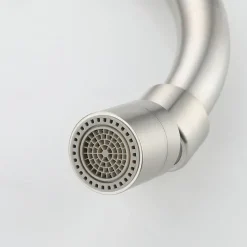 Kitchen Faucet with Bidet Single Handle Two Holes Stainless Steel Standard Spout Wall Mounted Modern Contemporary Kitchen Taps