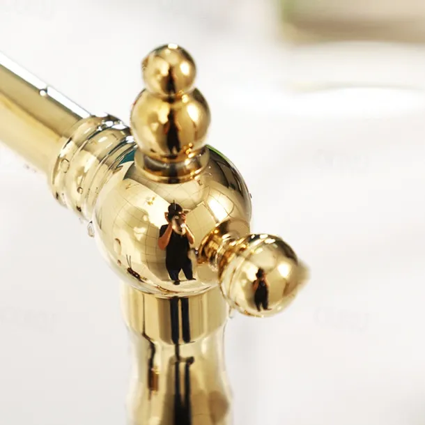 Kitchen Faucet,Two Handles One Hole Antique Brass / Electroplated / Painted Finishes Standard Spout Centerset Antique Kitchen Taps