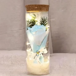 LED Lights, Dry Flowers, Valentine's Day Gifts, Birthday Gifts, Glass Covers, Eternal Flowers, Rose Bouquets, Perfect Gifts for Mother's Day and Thanksgiving Holidays
