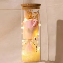 LED Lights, Dry Flowers, Valentine's Day Gifts, Birthday Gifts, Glass Covers, Eternal Flowers, Rose Bouquets, Perfect Gifts for Mother's Day and Thanksgiving Holidays