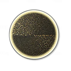 Led Painting Indoor Creative Modern Nordic Style Indoor Wall Lights Bedroom Dining Room Metal Wall Light IP20 110-120V 220-240V