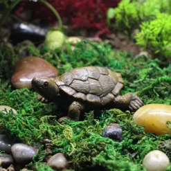 Mini Turtles Miniature Figurines Simulation Small Tortoise Ornament Realistic Sea Turtles Resin Cute Beach Sea Turtles For Bonsai Craft Fairy Garden Succulent Planter Decoration