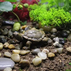 Mini Turtles Miniature Figurines Simulation Small Tortoise Ornament Realistic Sea Turtles Resin Cute Beach Sea Turtles For Bonsai Craft Fairy Garden Succulent Planter Decoration