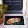 Painting Cat Doormat Floor Mats Washable Rugs Kitchen Mat Non-Slip Oil Proof Rug Indoor Outdoor Mat Bedroom Decor Bathroom Mat Entrance Rug