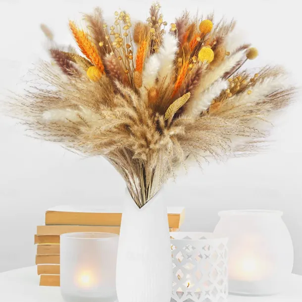 Pampas Grass Decor Set - Natural Dried Flowers for DIY Arrangements, Non-Toxic Home & Wedding Decor, Use without Power