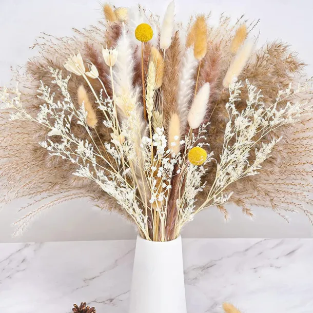 Pampas Grass Decor Set - Natural Dried Flowers for DIY Arrangements, Non-Toxic Home & Wedding Decor, Use without Power