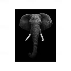 1pc Animal Wall Art Canvas Giraffe Elephant Posters And Prints Modern Wall Art Picture For Living Room No Frame