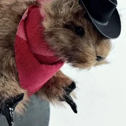 1pc Contemporary Cowboy Bandit Taxidermy Squirrel Wall Hanging Decor, Faux Hedgehog with Hat and Scarf, No Feather, No Power Needed