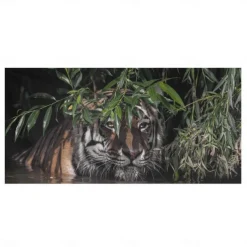 1PC Large Thick Bath Shower Towels 3D White Tiger Design Cotton Beach Towel for Women Men Travel Swimming Yoga Blanket