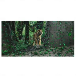 1PC Large Thick Bath Shower Towels 3D White Tiger Design Cotton Beach Towel for Women Men Travel Swimming Yoga Blanket