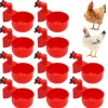 10pcs Chicken Drinking Cup Automatic Drinker Chicken Feeder Plastic Poultry Waterer Drinking Water Feeder for Chicks Duck Goose Quail