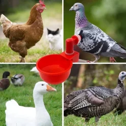 10pcs Chicken Drinking Cup Automatic Drinker Chicken Feeder Plastic Poultry Waterer Drinking Water Feeder for Chicks Duck Goose Quail