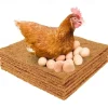 6/10pcs Chicken Nest Box Liners, Premium Laying Hen Nesting Pads, Chicken Coop Bedding, Poultry Supplies, Easy Clean Up