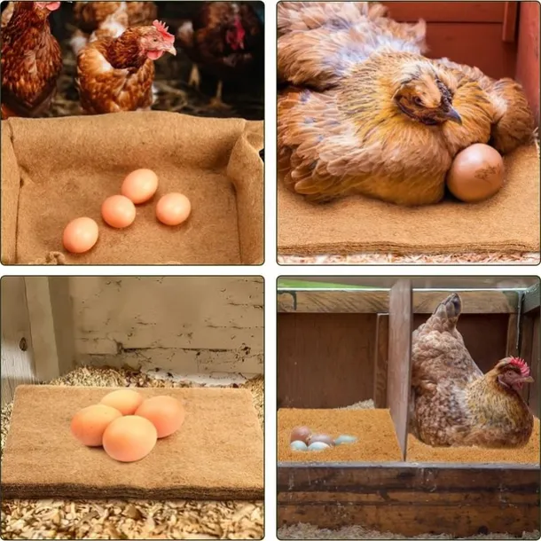 6/10pcs Chicken Nest Box Liners, Premium Laying Hen Nesting Pads, Chicken Coop Bedding, Poultry Supplies, Easy Clean Up