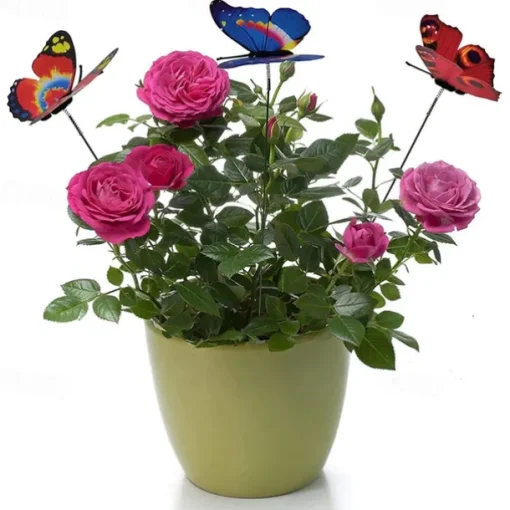 20pcs Metal Wire Butterfly Plant Stakes Garden Decor Butterfly Stakes Outdoor Yard Planter Flower Pot Bed Yard Garden Lawn Decor