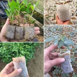 100pcs Nursery Growing Bags, Non-Woven Fabric Seedlings Grow Bag For High Seedling Survival Rate, Plant Bags For Planting, Garden Seed Starters Pouch