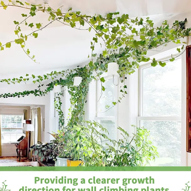 20pcs Plant Climbing Wall Fixture Clips, Vine Fixer Invisible Self-Adhesive Hook Plant Vine Traction Wall Vines Fixture Wall Sticky Hook Vines Fixing Clip Vines Holder