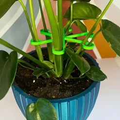 4pcs Premium Plant Support Kit Adjustable Stem Hooks for Easy Gardening & Tying Ideal for Monstera & Long-Stemmed Plants