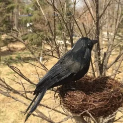 3pcs Realistic Black Crow Feather Halloween Decoration Props Set - Spooky Indoor and Outdoor Decor