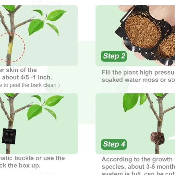 5pcs Reusable Plant Rooting Device Plant Rooting Grow Box High Pressure Propagation Ball Grafting Device Botany Root Controller Garden Plant Rooter Box For Rose Tree Fruit Bush Magnolia