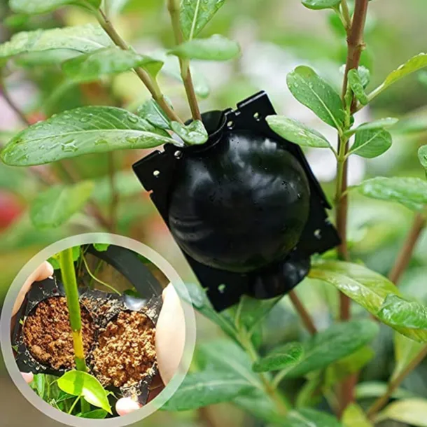 5pcs Reusable Plant Rooting Device Plant Rooting Grow Box High Pressure Propagation Ball Grafting Device Botany Root Controller Garden Plant Rooter Box For Rose Tree Fruit Bush Magnolia