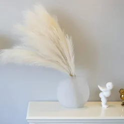 5pcs Wedding Mini Pampas Reed Grass INS Wind Simulated Flower Factory Home Decoration Wholesale Artificial Flowers