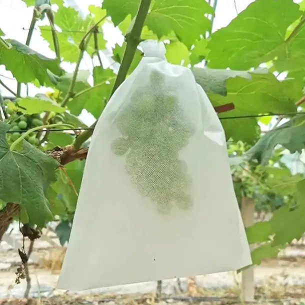 100pcs White Fruit Protection Bags 30x20cm/11.8x7.9 inch Fruit Cover Mesh Bag with Drawstring Protecting Vegetables and Fruits from Birds and Pests Non-woven Cloth Strawberry Grape Grow Bags Antifr