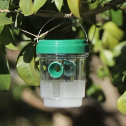 Plastic Bee Traps, Insect Lure Bottle, Indoor Outdoor Wasp Catcher for House Kitchen Plants Trees Flying Insects Pest Control