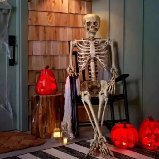 Poseable HALLOWEEN Life Size Decay Skeleton Human Prop Anatomy Quick Ship