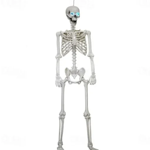 Poseable HALLOWEEN Life Size Decay Skeleton Human Prop Anatomy Quick Ship