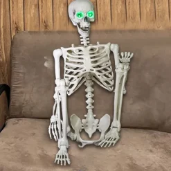 Poseable HALLOWEEN Life Size Decay Skeleton Human Prop Anatomy Quick Ship