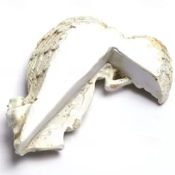 Redemption Angel Door Frame Pendant Awakening Angel Wings Pendant Door Frame Decoration Resin Pendant Decoration