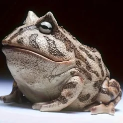 Resin Frog Statue - Versatile Indoor/Outdoor Decor for Garden, Window Sill & Desktop Display - Perfect for Halloween, Christmas, Thanksgiving