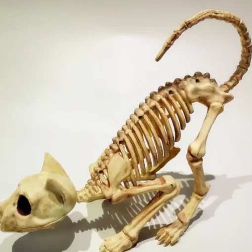 Scary Cat Skeleton Halloween Plastic Cat Skeleton Halloween Decoration Outdoor Halloween Decoration Beige