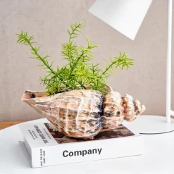 Seashell Shaped Resin Vase, 9.8-Inch Bohemian Tabletop Flower Vase, Indoor Decorative Hydroponic Planter for Home Decor and Gifts