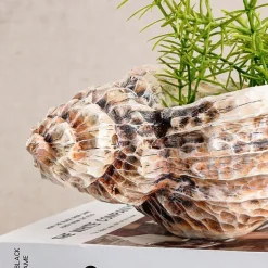 Seashell Shaped Resin Vase, 9.8-Inch Bohemian Tabletop Flower Vase, Indoor Decorative Hydroponic Planter for Home Decor and Gifts