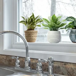 Self-Adhesive 3D Plant Wall Stickers - Waterproof, Dirt-Resistant, Easy Peel-and-Stick Decals for Living Room, Bedroom, Kitchen, and Office - Transform Your Home