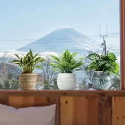 Self-Adhesive 3D Plant Wall Stickers - Waterproof, Dirt-Resistant, Easy Peel-and-Stick Decals for Living Room, Bedroom, Kitchen, and Office - Transform Your Home