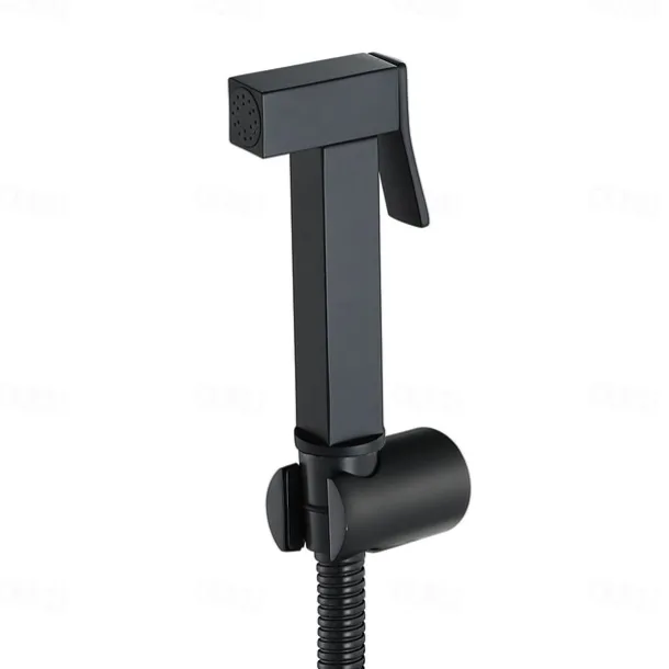 Single Hole Bidet Electroplated Toilet Handheld Bidet Sprayer Self-Cleaning Contemporary