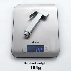 Single Hole Bidet Electroplated Toilet Handheld Bidet Sprayer Self-Cleaning Contemporary