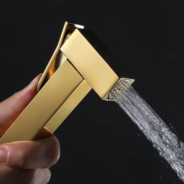 Single Hole Bidet Electroplated Toilet Handheld Bidet Sprayer Self-Cleaning Contemporary