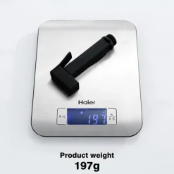 Single Hole Bidet Electroplated Toilet Handheld Bidet Sprayer Self-Cleaning Contemporary