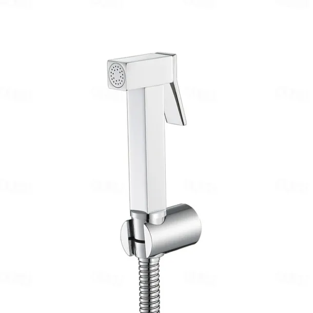 Single Hole Bidet Electroplated Toilet Handheld Bidet Sprayer Self-Cleaning Contemporary