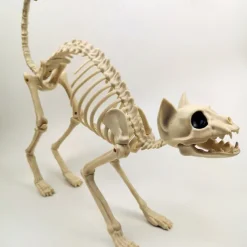 Skeleton Model, 3D Animal Sculpture Resin Crafts, for Pose Skeleton Prop Indoor/Outdoor, Halloween Decoration