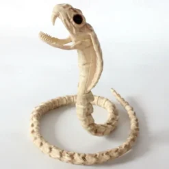 Skeleton Model, 3D Animal Sculpture Resin Crafts, for Pose Skeleton Prop Indoor/Outdoor, Halloween Decoration