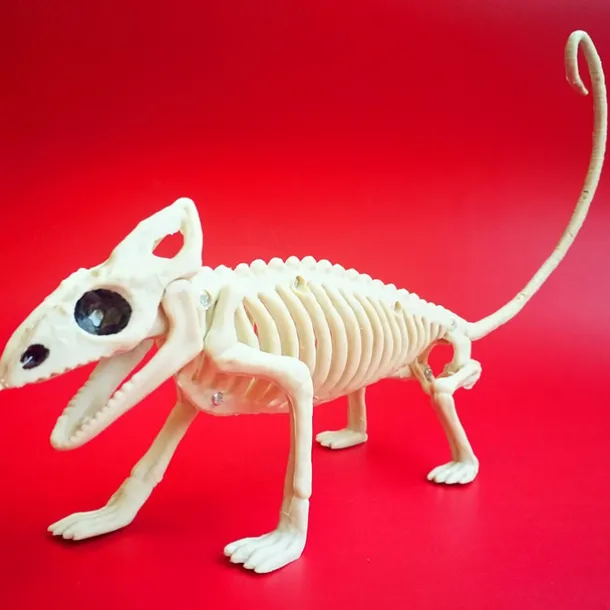 Skeleton Model, 3D Animal Sculpture Resin Crafts, for Pose Skeleton Prop Indoor/Outdoor, Halloween Decoration