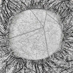 Stretch Dining Chair Cover High Back Dining Chair Cover Soft and Elastic Fabric for a Snug Fit Protects Chairs from Spills, Stains, and Wear Easy to Install and Remove Ideal for Dining Rooms