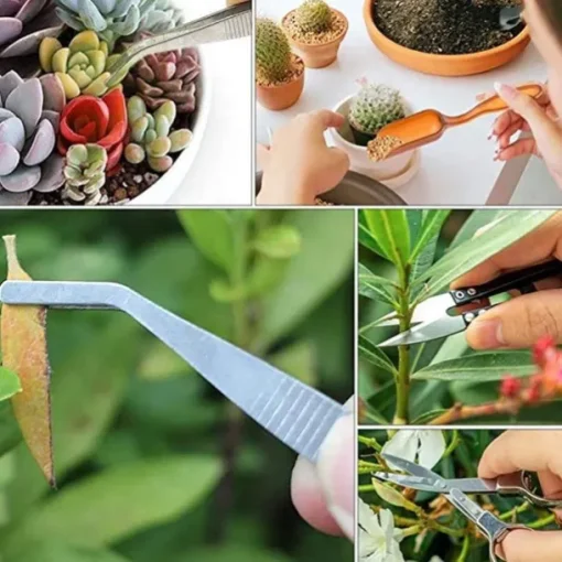 Succulent Tools, Mini Garden Tool Set, Transplanting Tools Set, Succulent Care kit for Succulent Miniature Gardening Plant, Multi, 12 Pcs