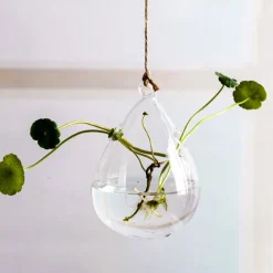 Teardrop Hanging Glass Vase – Transparent Hydroponic Planter for Indoor Greenery, Succulents & Pothos, Decorative Glass Terrarium for Garden, Balcony, Porch & Home Decor