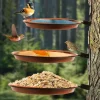 Tree Mounted Bird Feeder Bird Bath Installed on Wooden Fence Wall Tree Deck Stakes with Heavy Duty Iron Ring, Trees, Deck,Indoor and Outdoor Walls
